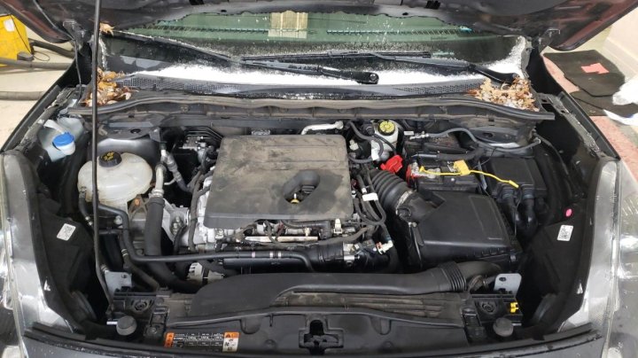 FORD Escape SEL 2020