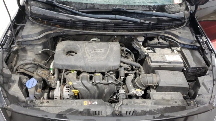 KIA RIO S 2019