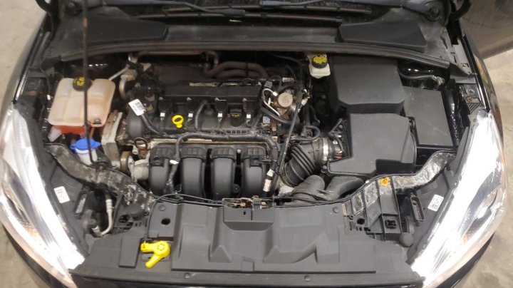 Ford Focus SE 2017