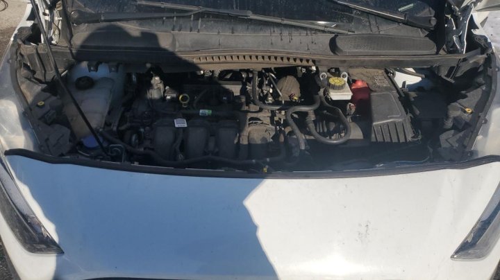 Ford TRANSIT XL 2022