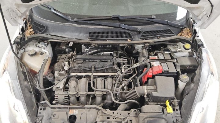 Ford FIESTA S 2019