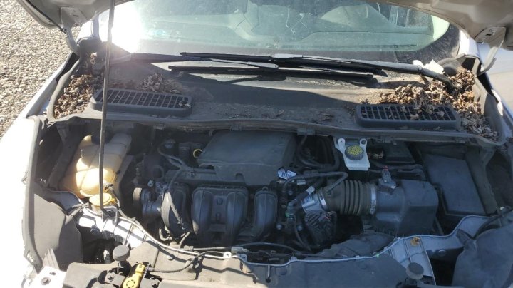 Ford Escape S 2016
