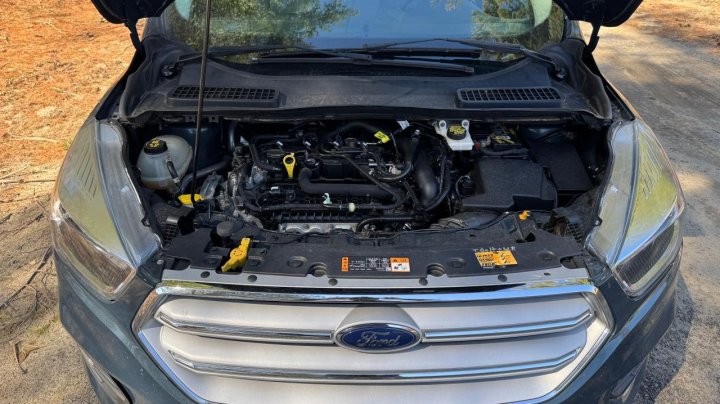 Ford Escape SE 2019