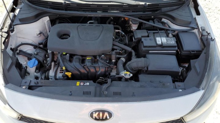 KIA RIO S 2019