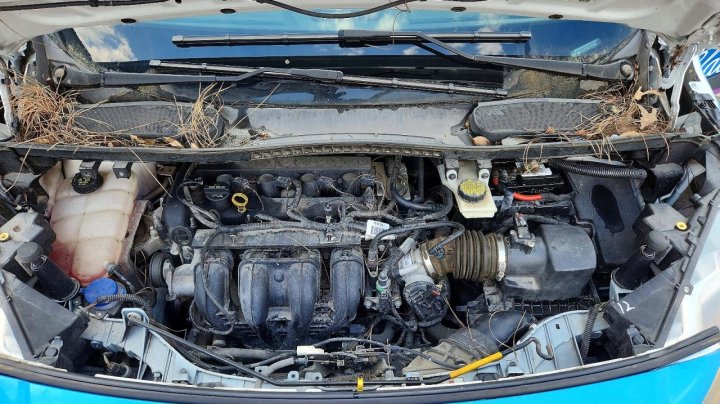 Ford S7E  2016