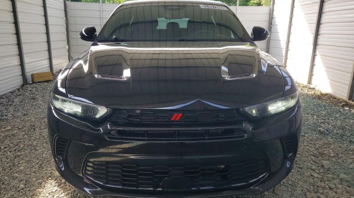 Dodge HORNET  2024