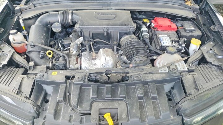 Dodge HORNET  2024