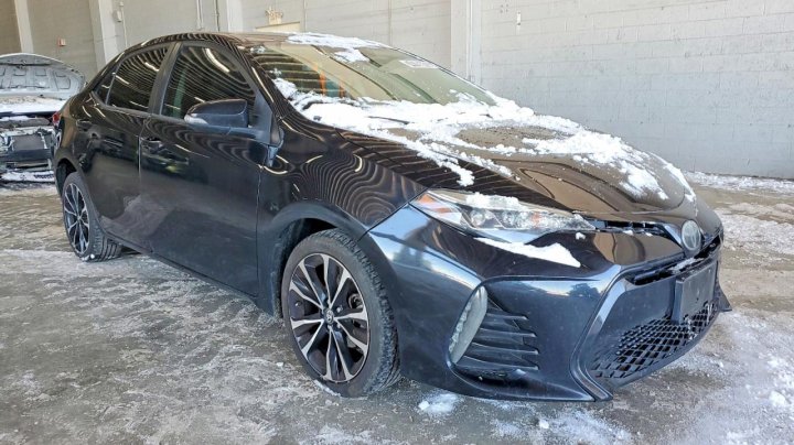 Toyota Corolla  2019