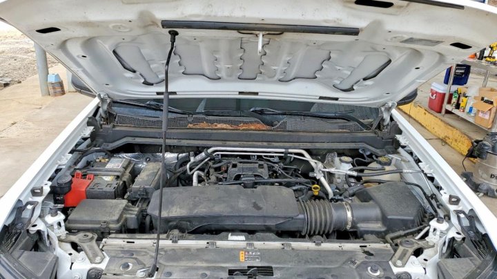 CHEV COLORADO  2024