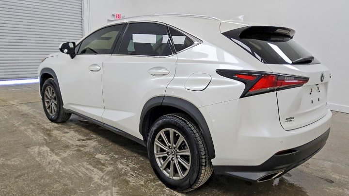 Lexus NX  2021
