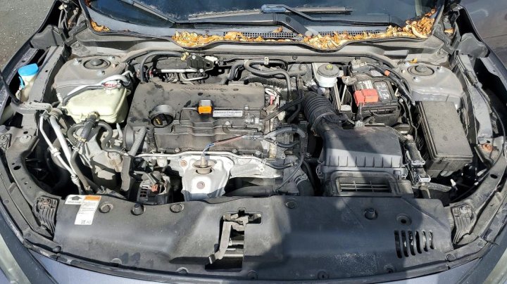 Honda Civic  2018