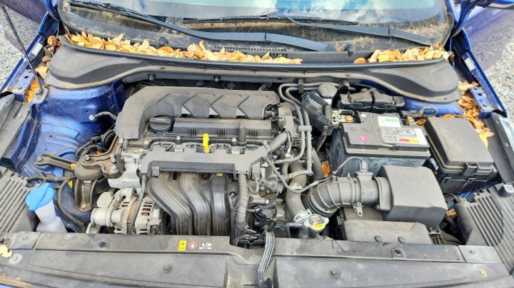 Hyundai ACCENT  2020