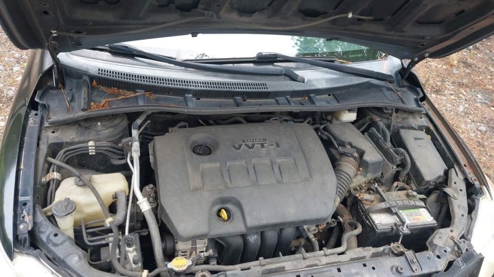 Toyota Corolla L 2013