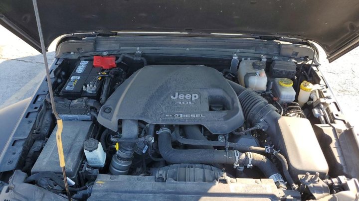 JEEP WRANGLER  2022