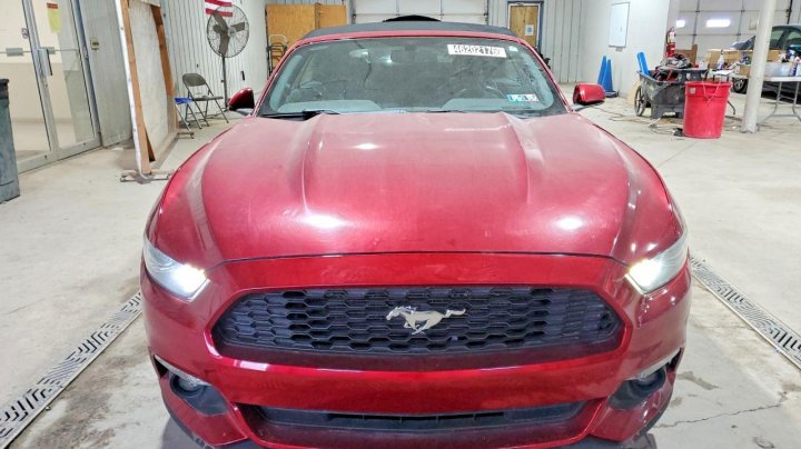 Ford MUSTANG  2016