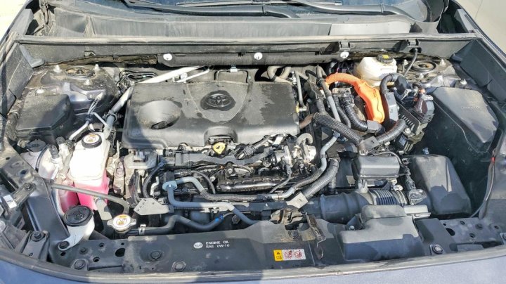 Toyota RAV4  2024