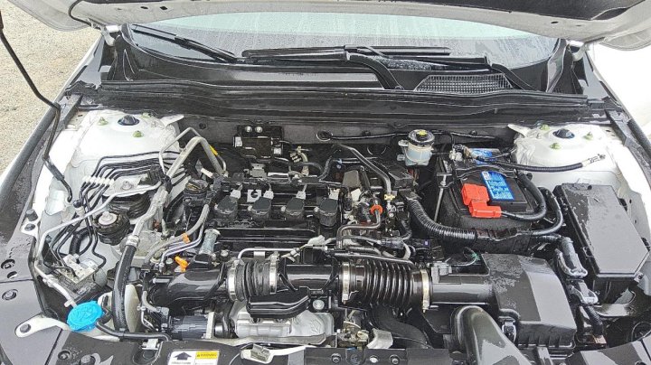 Honda Accord  2022