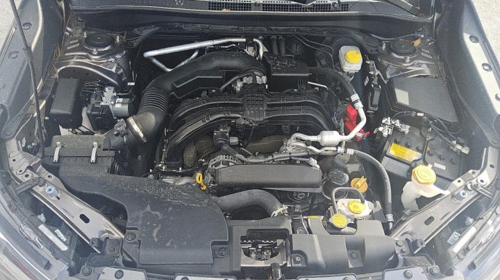 Subaru Forester  2025