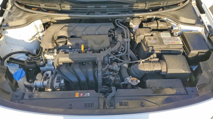 KIA RIO  2021