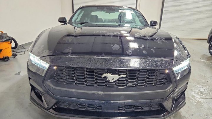 Ford MUSTANG  2024