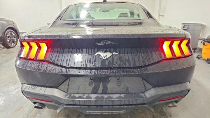 Ford MUSTANG  2024