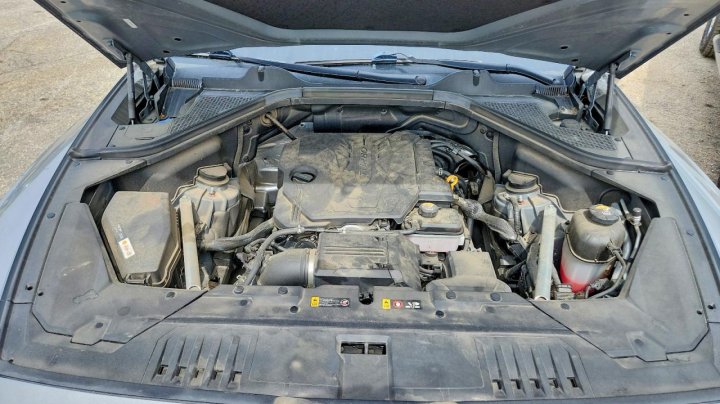 Genesis GV80  2022