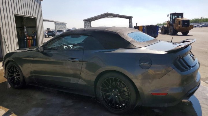 Ford MUSTANG  2019