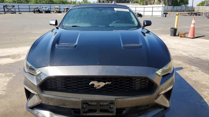 Ford MUSTANG  2019