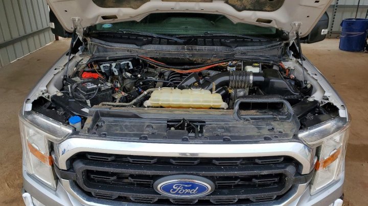Ford F150  2022