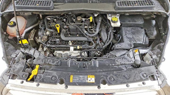 Ford Escape  2019