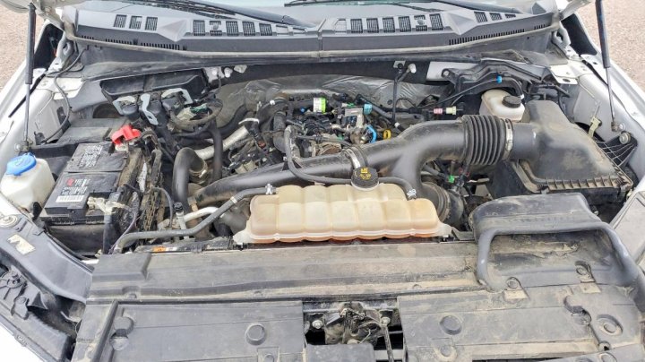 Ford F150  2019