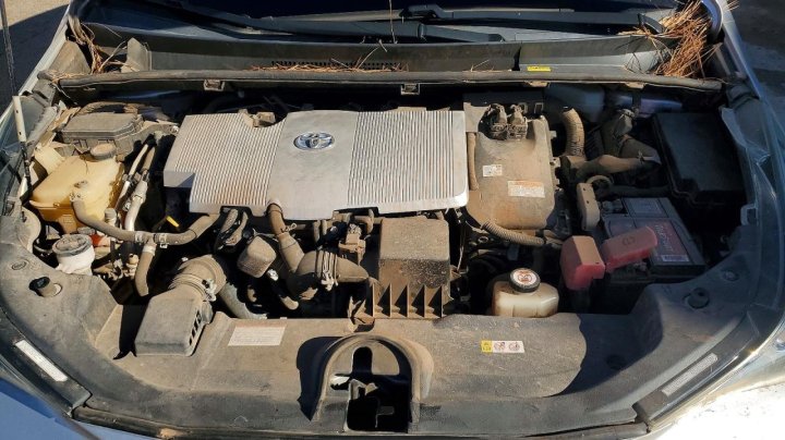 Toyota Prius  2018