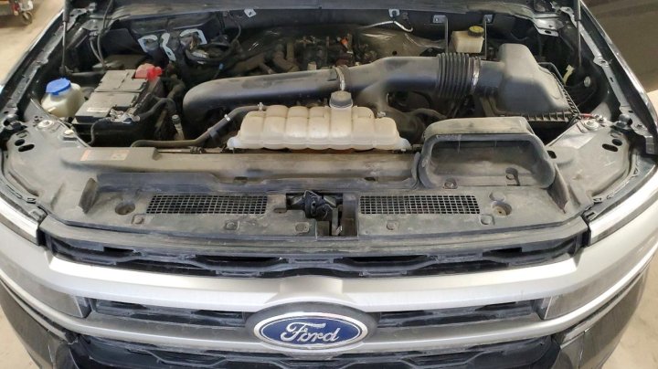 Ford EXPEDITION  2024