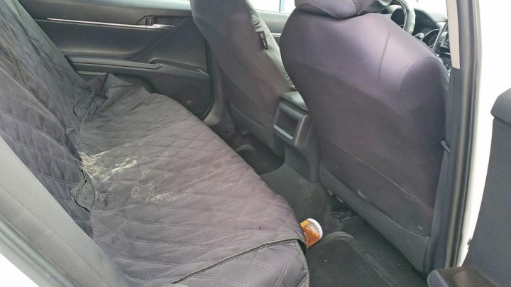 Toyota Camry  2021