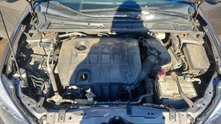 Toyota Corolla  2017