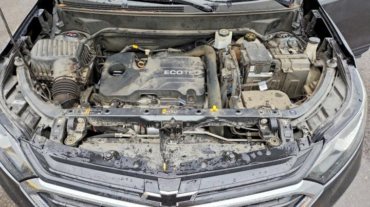 Chevrolet Equinox  2019