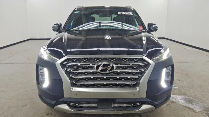 Hyundai Palisade  2020