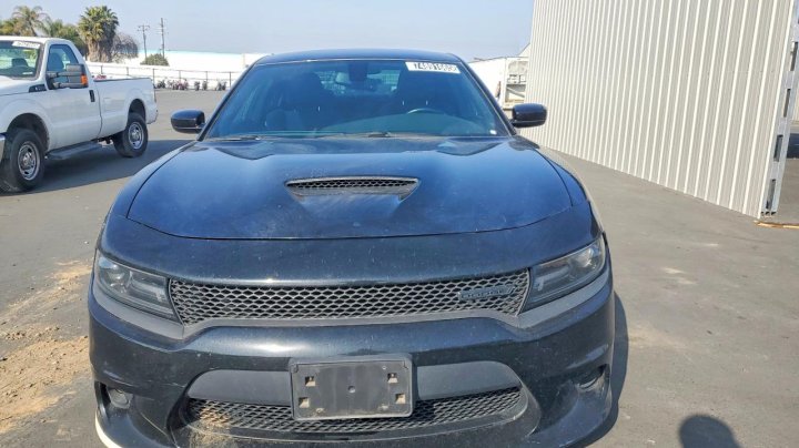 Dodge Charger  2021