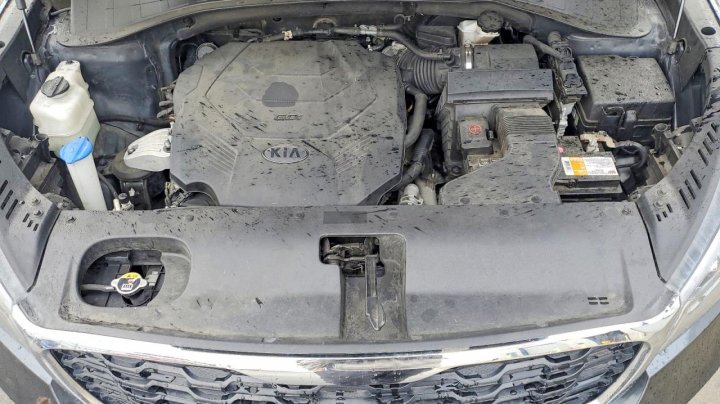 KIA Sorento  2020
