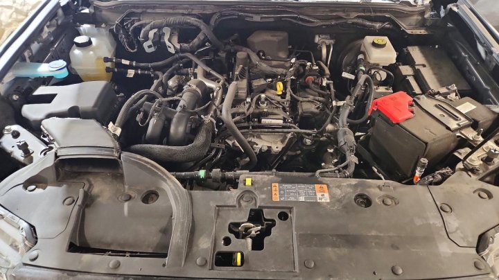Ford RANGER  2024