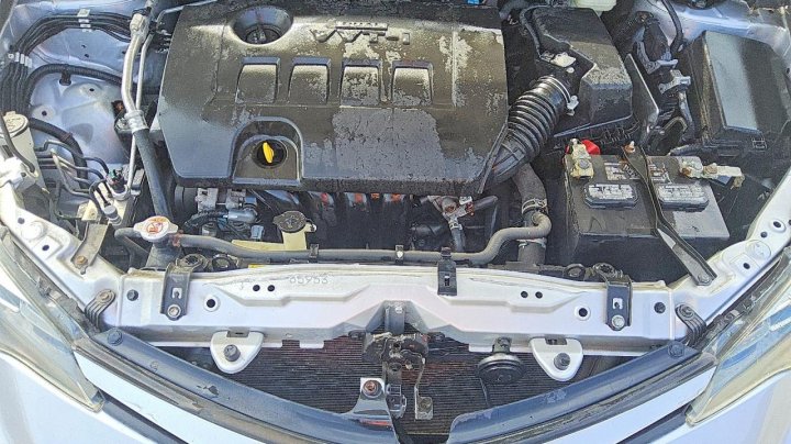 Toyota Corolla  2019