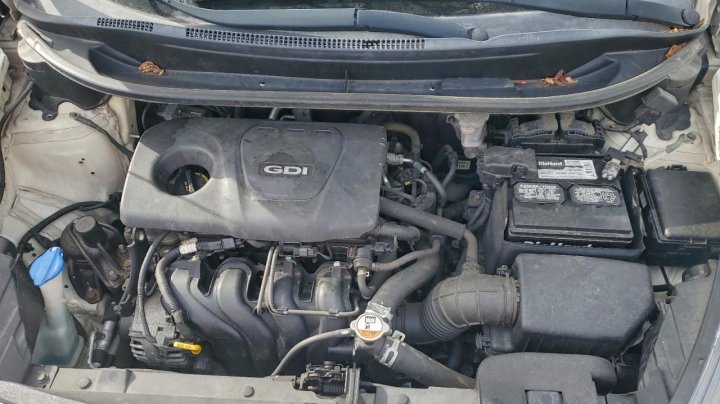 KIA RIO  2017