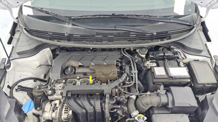 KIA RIO  2023