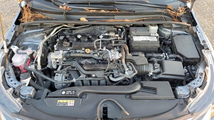 Toyota Corolla  2024