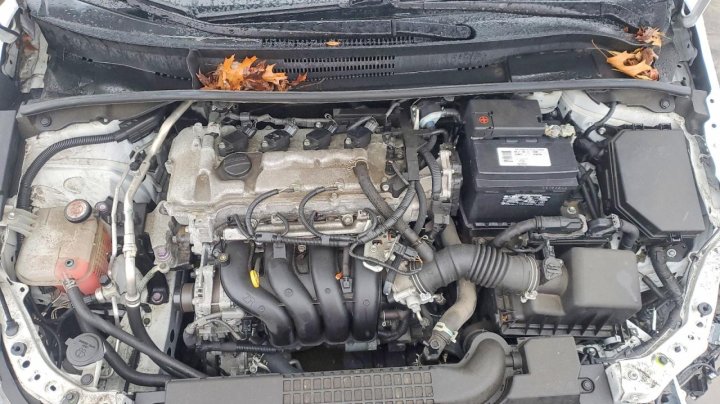 Toyota Corolla  2022