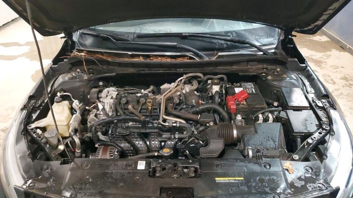 Nissan Altima  2022