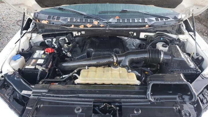 Ford F150  2020
