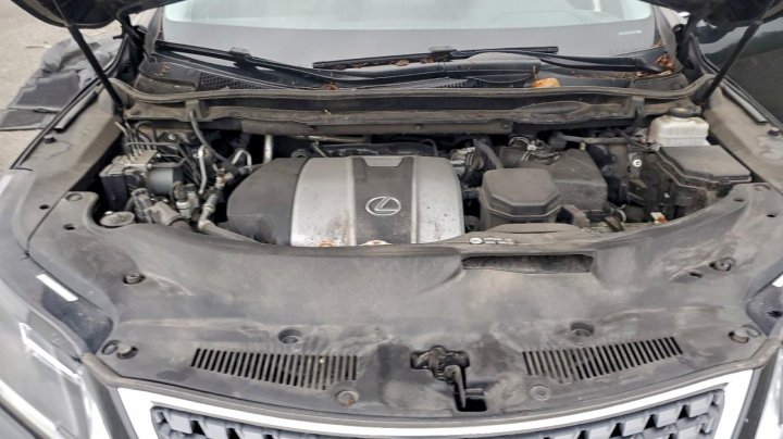 Lexus RX  2022