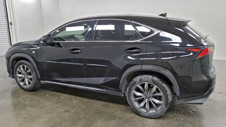 Lexus NX  2019