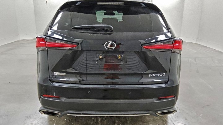 Lexus NX  2019